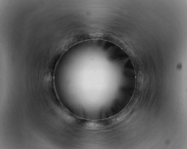 X0000101170614200807111053
