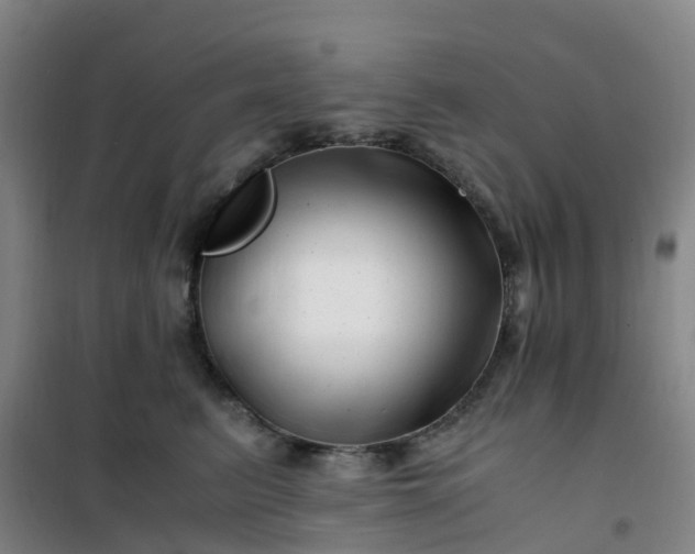X0000101170615200807111053