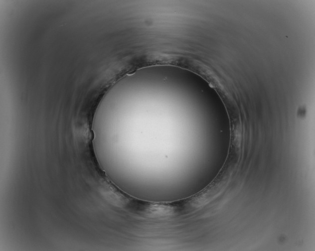 X0000101170617200807111053