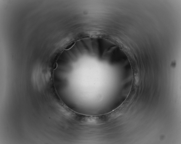 X0000101170618200807111053