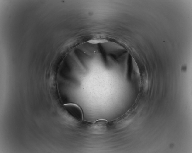 X0000101170619200807111053