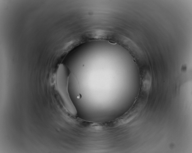 X0000101170620200807111053