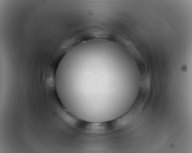 X0000101170622200807111053