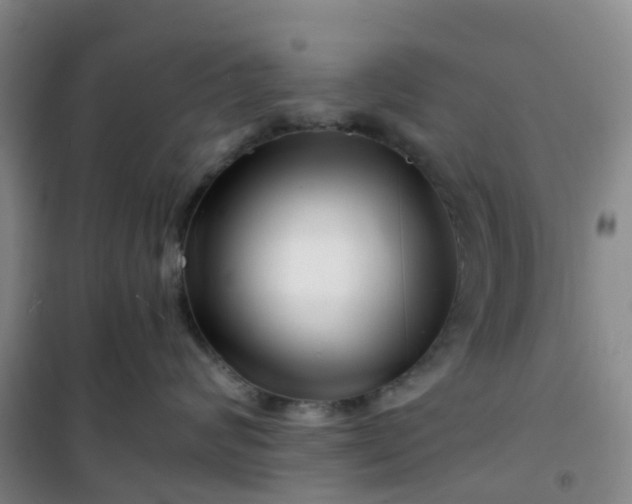 X0000101170624200807111053