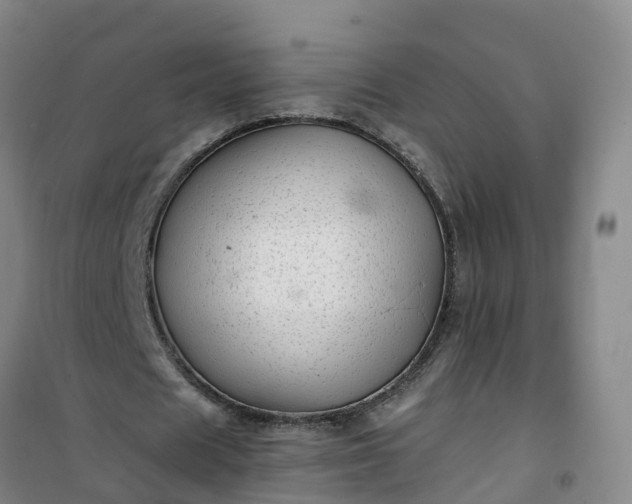 X0000101170625200807111053