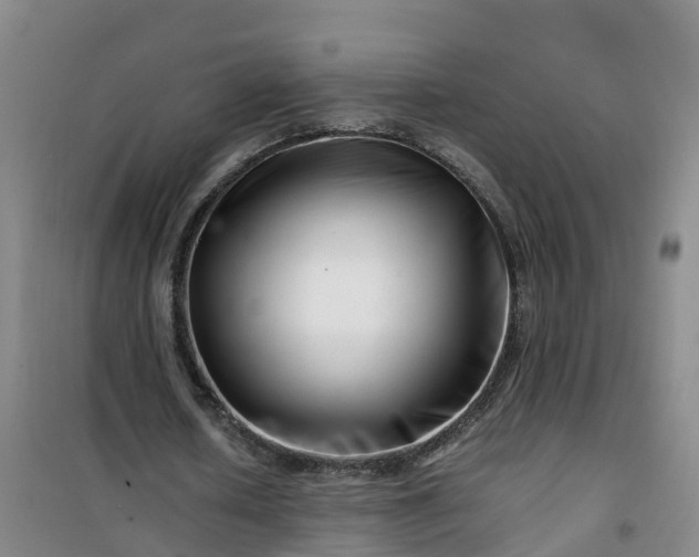 X0000101170626200807111053