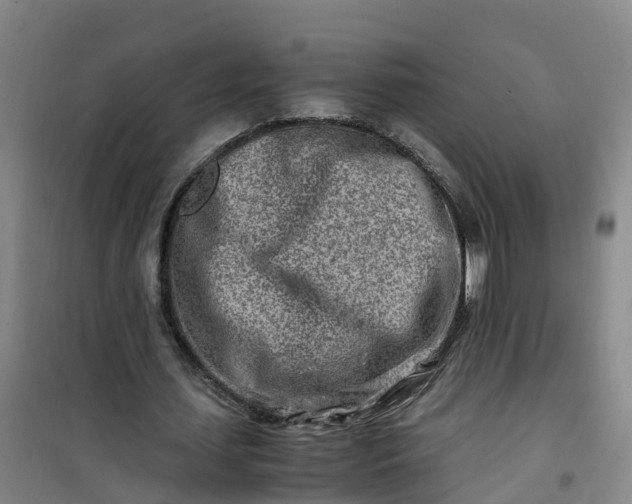 X0000101170627200807111053