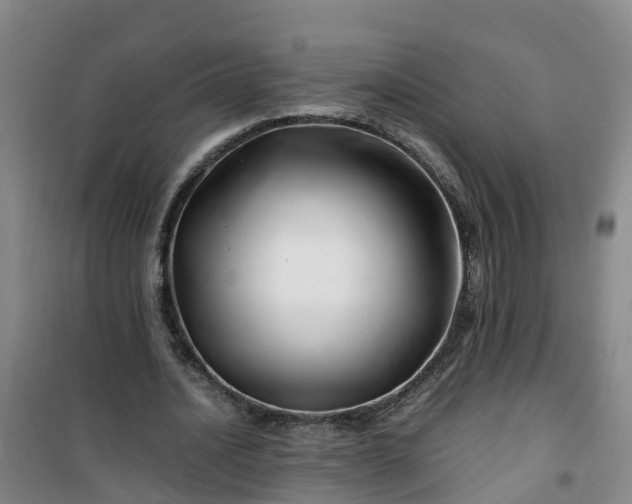 X0000101170628200807111053