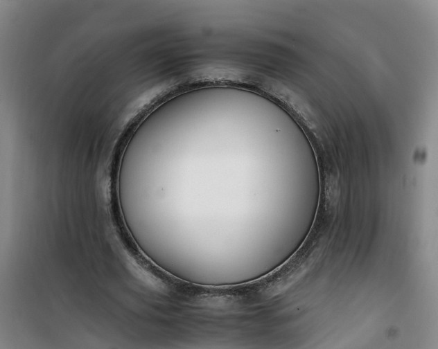 X0000101170629200807111053
