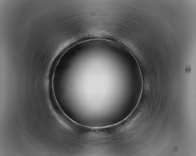 X0000101170630200807111053