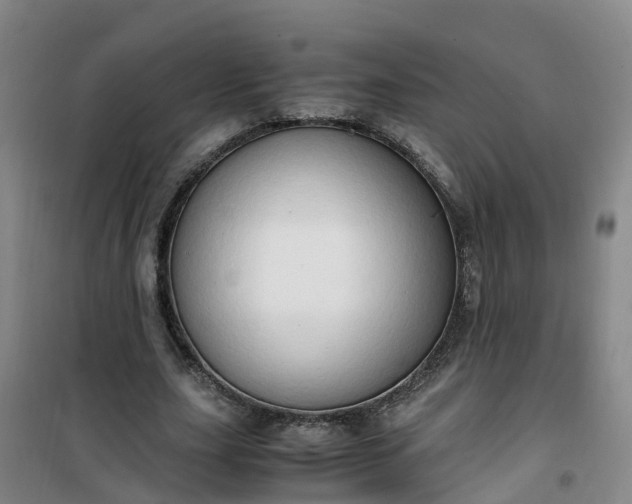 X0000101170631200807111053