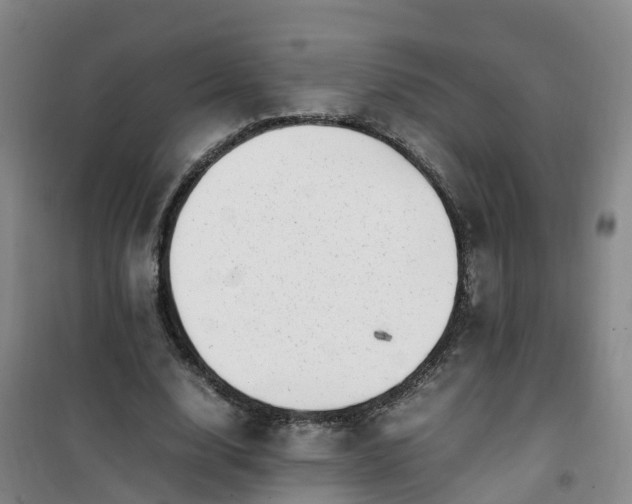 X0000101170632200807111053