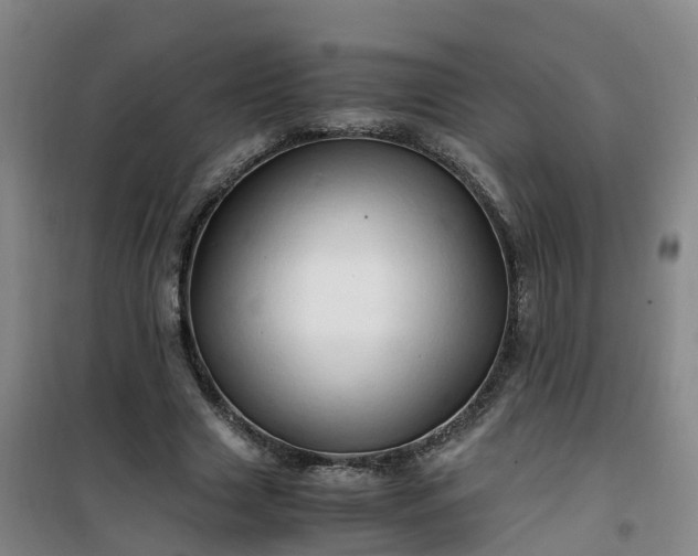 X0000101170633200807111053