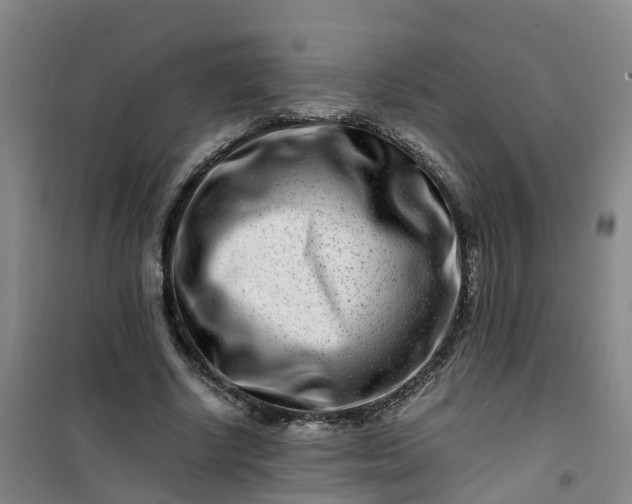 X0000101170634200807111053