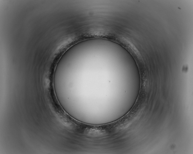 X0000101170635200807111053