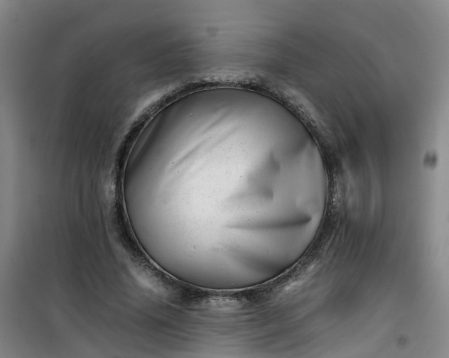 X0000101170636200807111053