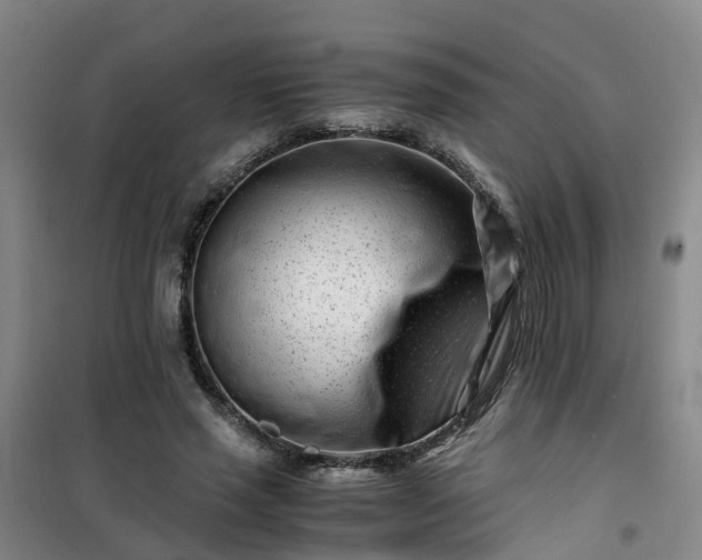 X0000101170637200807111053
