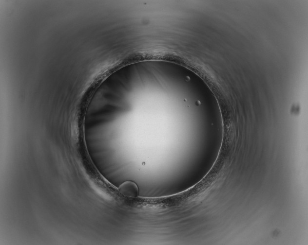X0000101170638200807111053