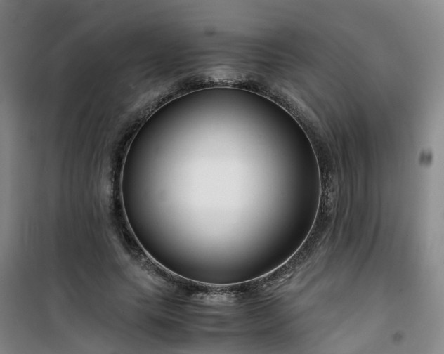 X0000101170639200807111053