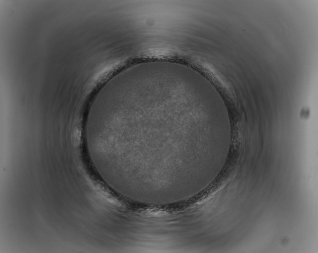 X0000101170640200807111053