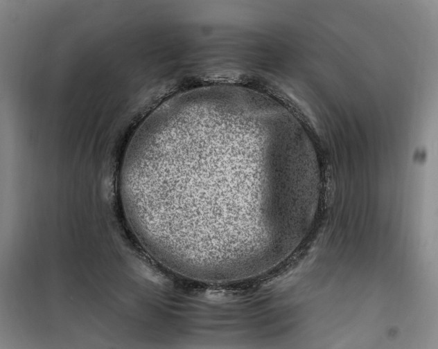 X0000101170641200807111053