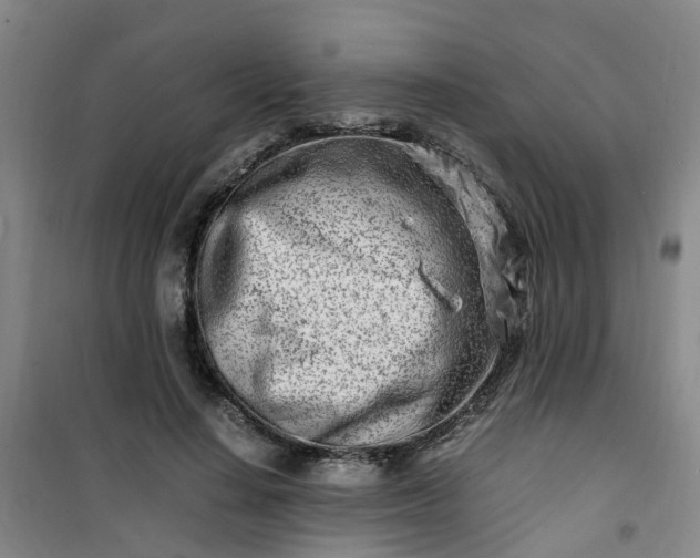 X0000101170644200807111053