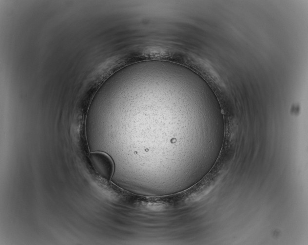 X0000101170645200807111053