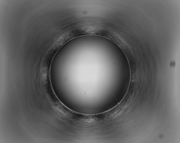 X0000101170646200807111053