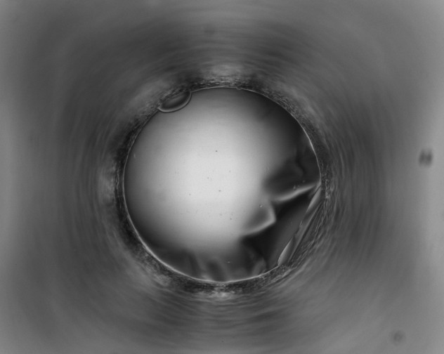 X0000101170647200807111053