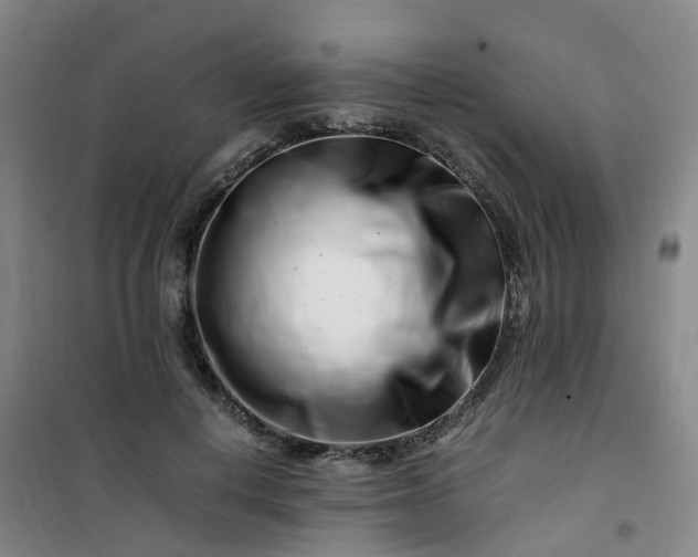 X0000101170648200807111053