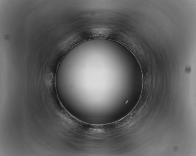 X0000101170649200807111053
