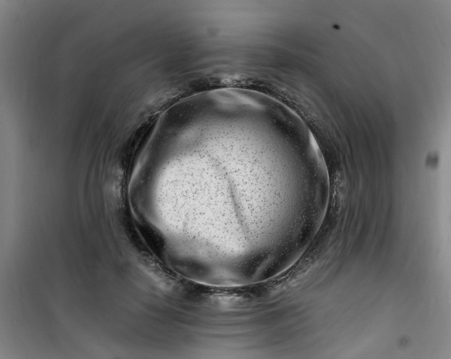 X0000101170650200807111053