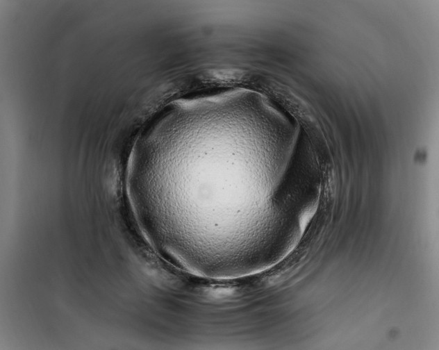 X0000101170651200807111053