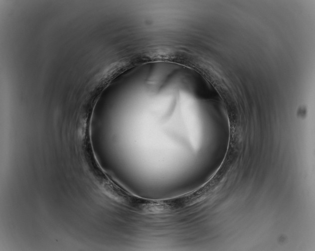 X0000101170652200807111053