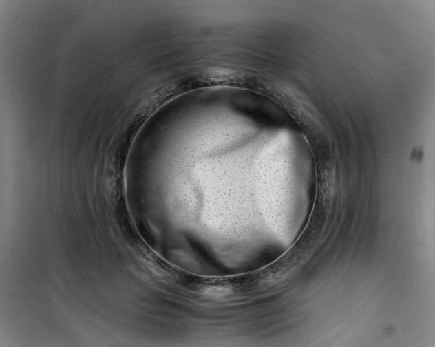 X0000101170653200807111053