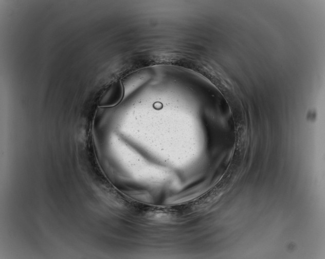 X0000101170655200807111053