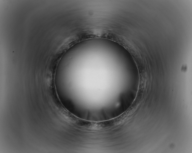 X0000101170656200807111053