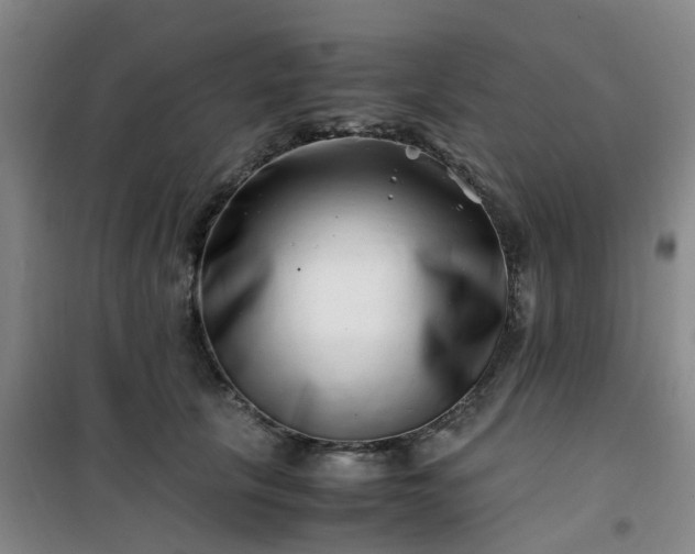 X0000101170657200807111053