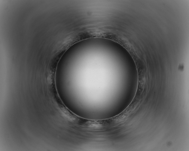 X0000101170658200807111053