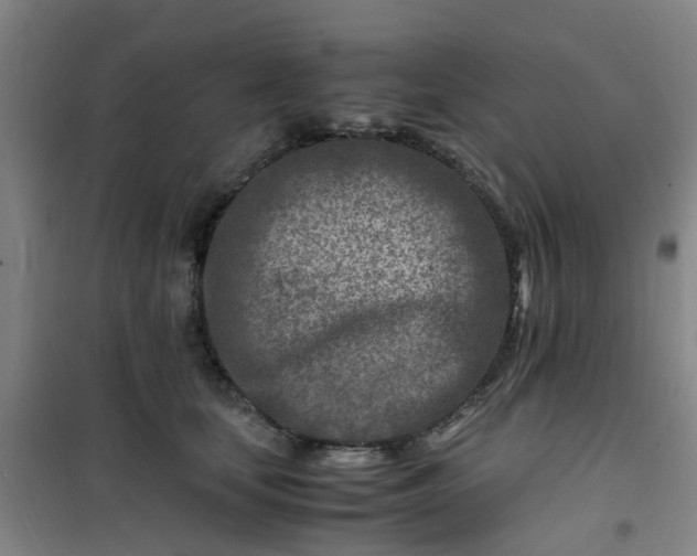 X0000101170659200807111053