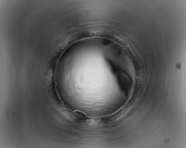 X0000101170660200807111053