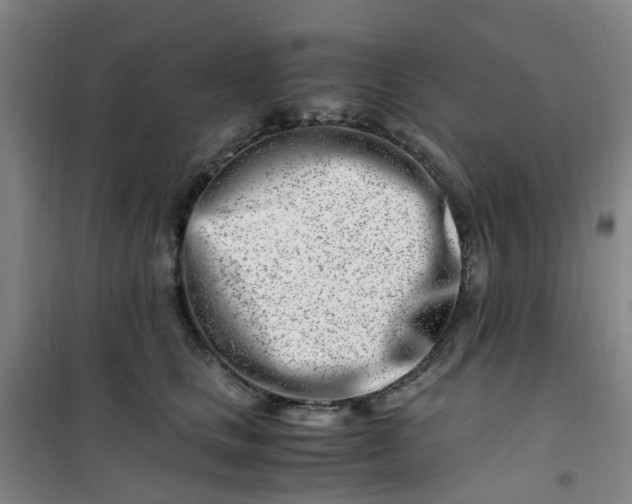 X0000101170661200807111053