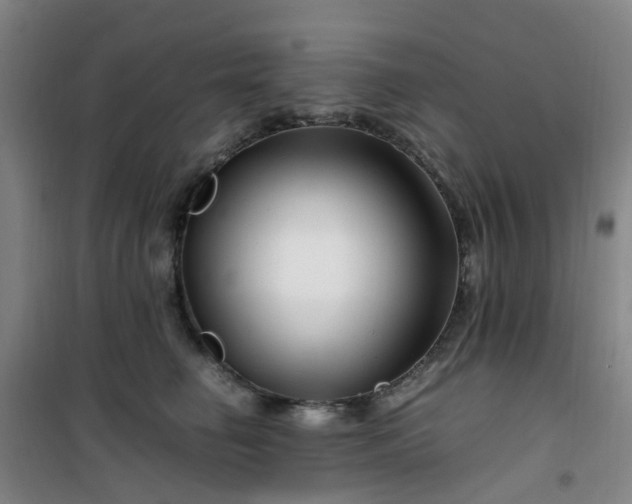 X0000101170662200807111053