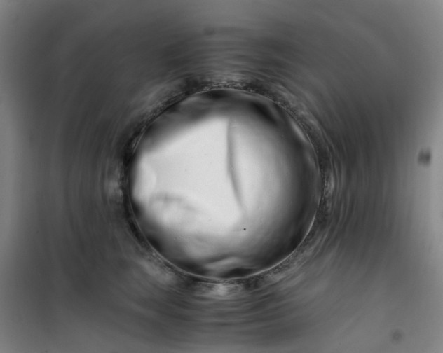X0000101170663200807111053