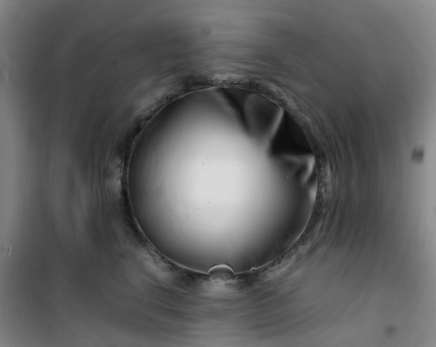 X0000101170664200807111053