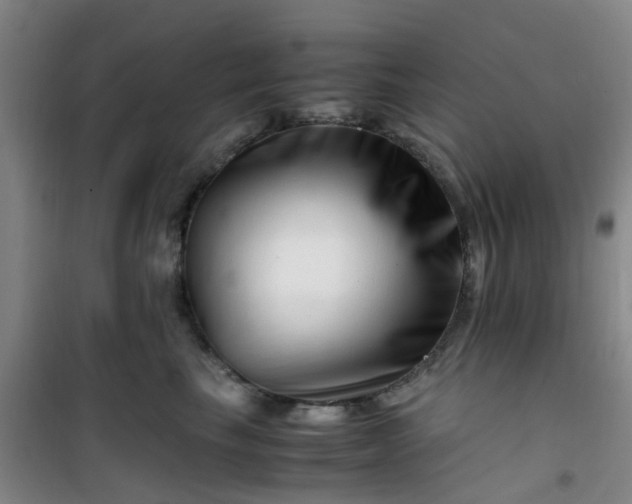 X0000101170665200807111053