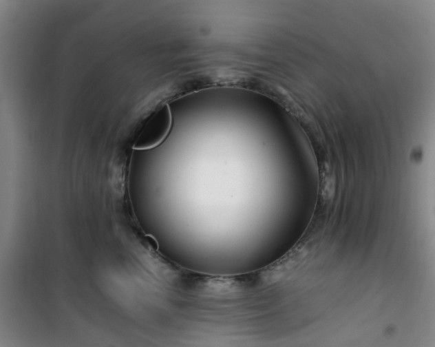 X0000101170666200807111053
