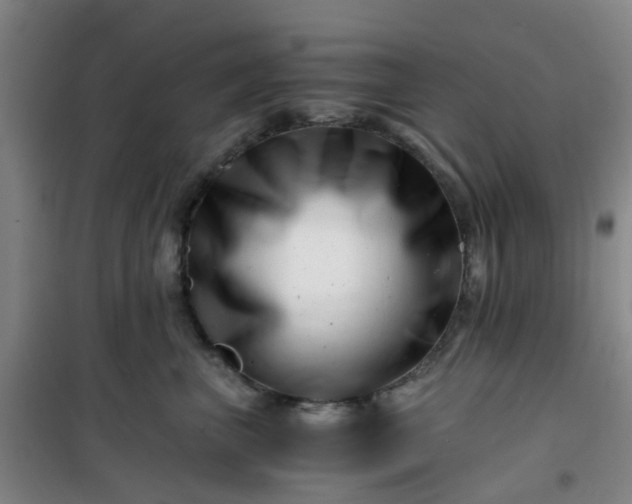 X0000101170667200807111053