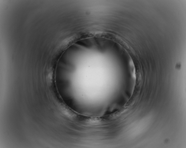 X0000101170668200807111053