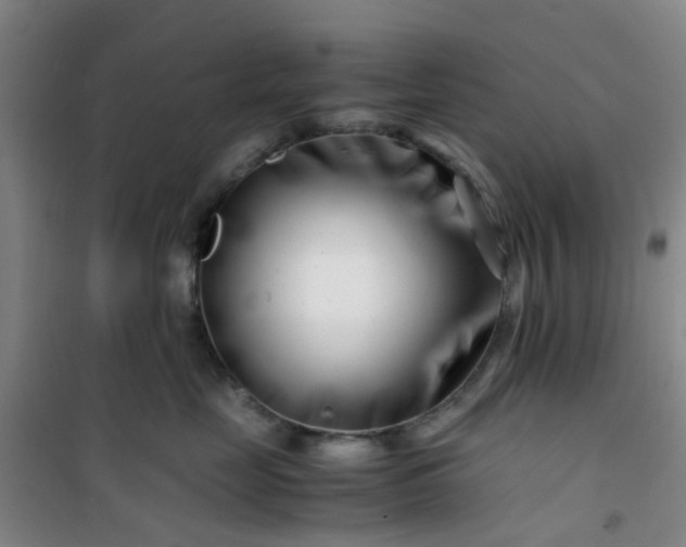 X0000101170669200807111053